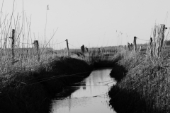 Cuxhaven03
