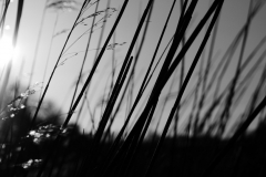 Cuxhaven04