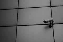 Frankfurt09
